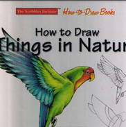 How to draw things in nature scribbles institute how to draw books
